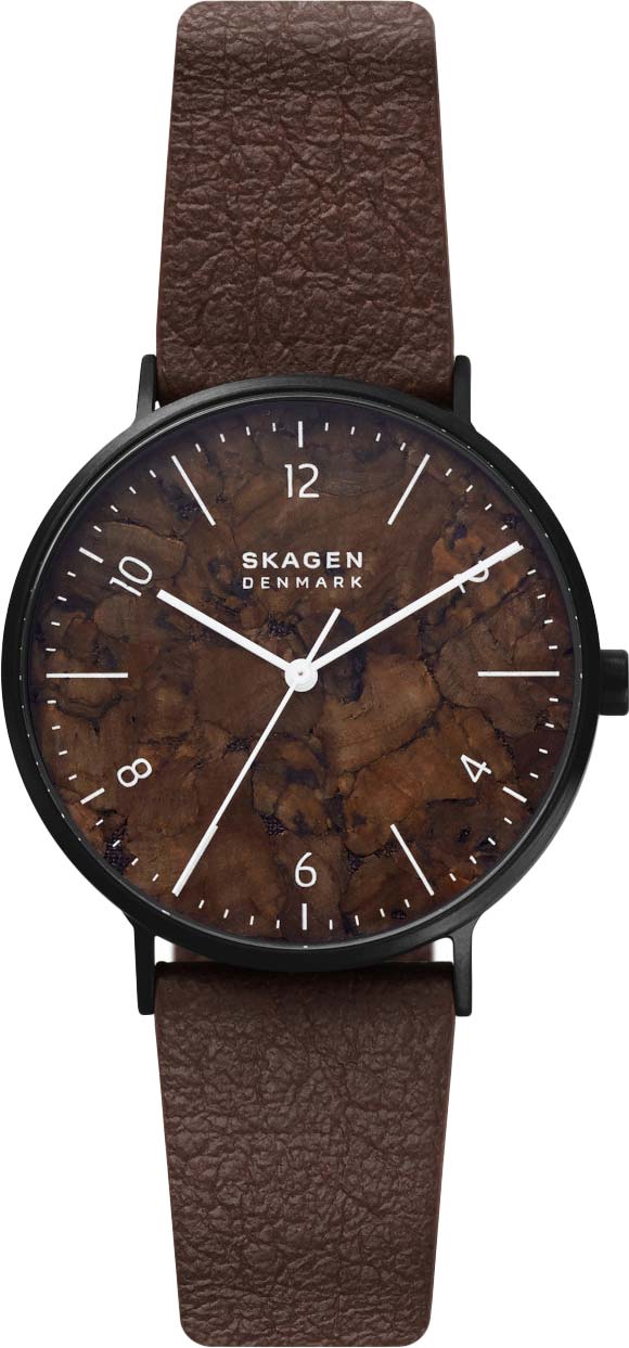 Фото часов Мужские часы Skagen SKW6728