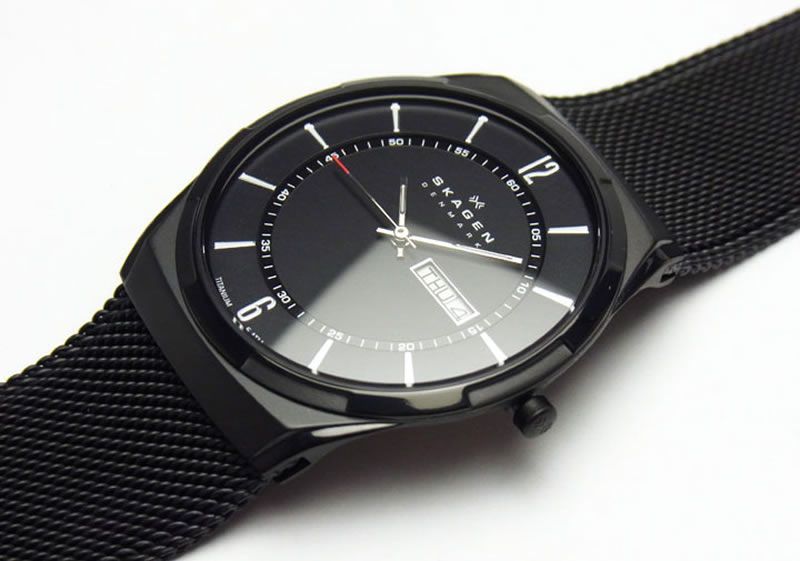 Фото часов Мужские часы Skagen Titanium SKW6006