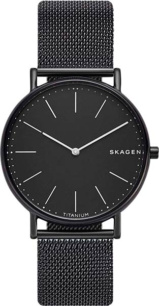Фото часов Мужские часы Skagen Signatur SKW6484