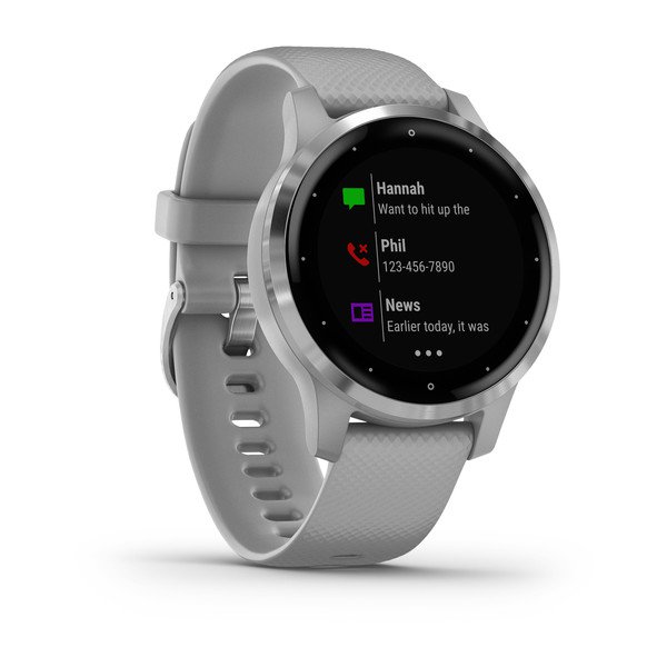Фото часов Garmin Vivoactive 4S 010-02172-03