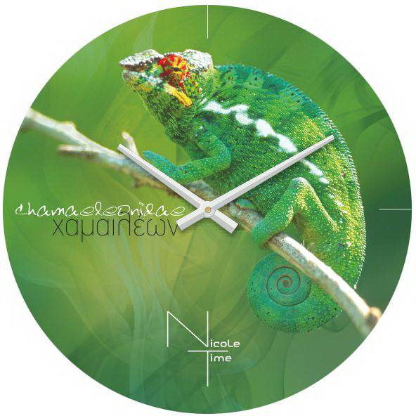 Фото часов Nicole Time NT503