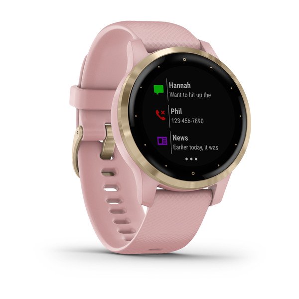Фото часов Garmin Vivoactive 4S 010-02172-33