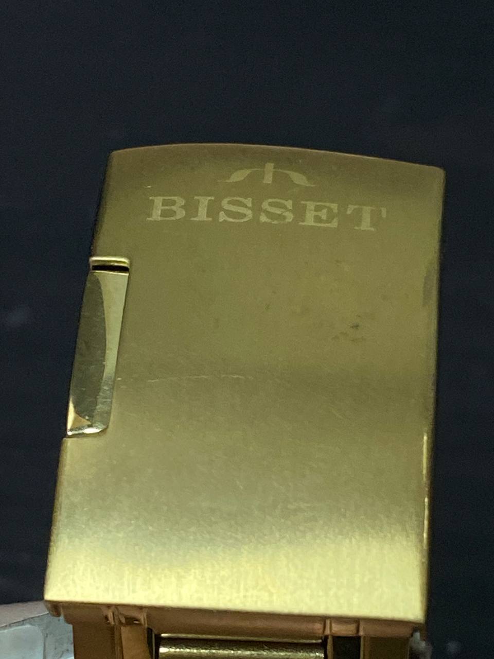 Фото часов Мужские часы Bisset BSDD55GAGX05BX-ucenka