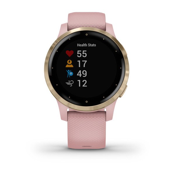 Фото часов Garmin Vivoactive 4S 010-02172-33