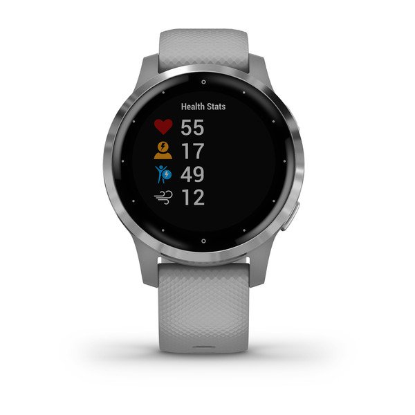 Фото часов Garmin Vivoactive 4S 010-02172-03