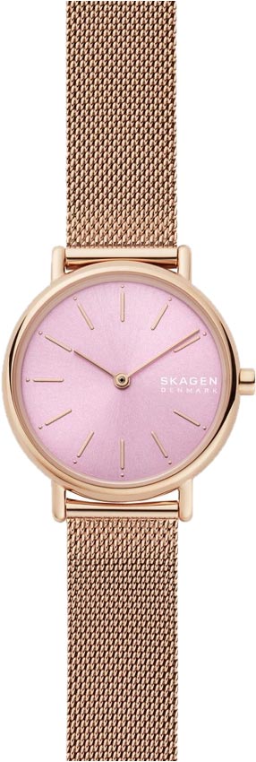 Фото часов Женские часы Skagen Signatur SKW2975