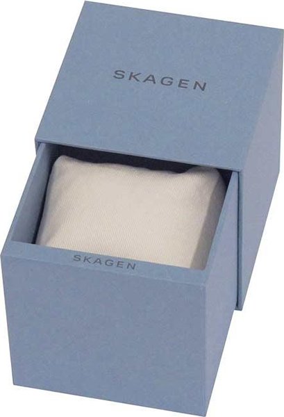 Фото часов Женские часы Skagen Rungsted Steel Mesh Watch SKW2402