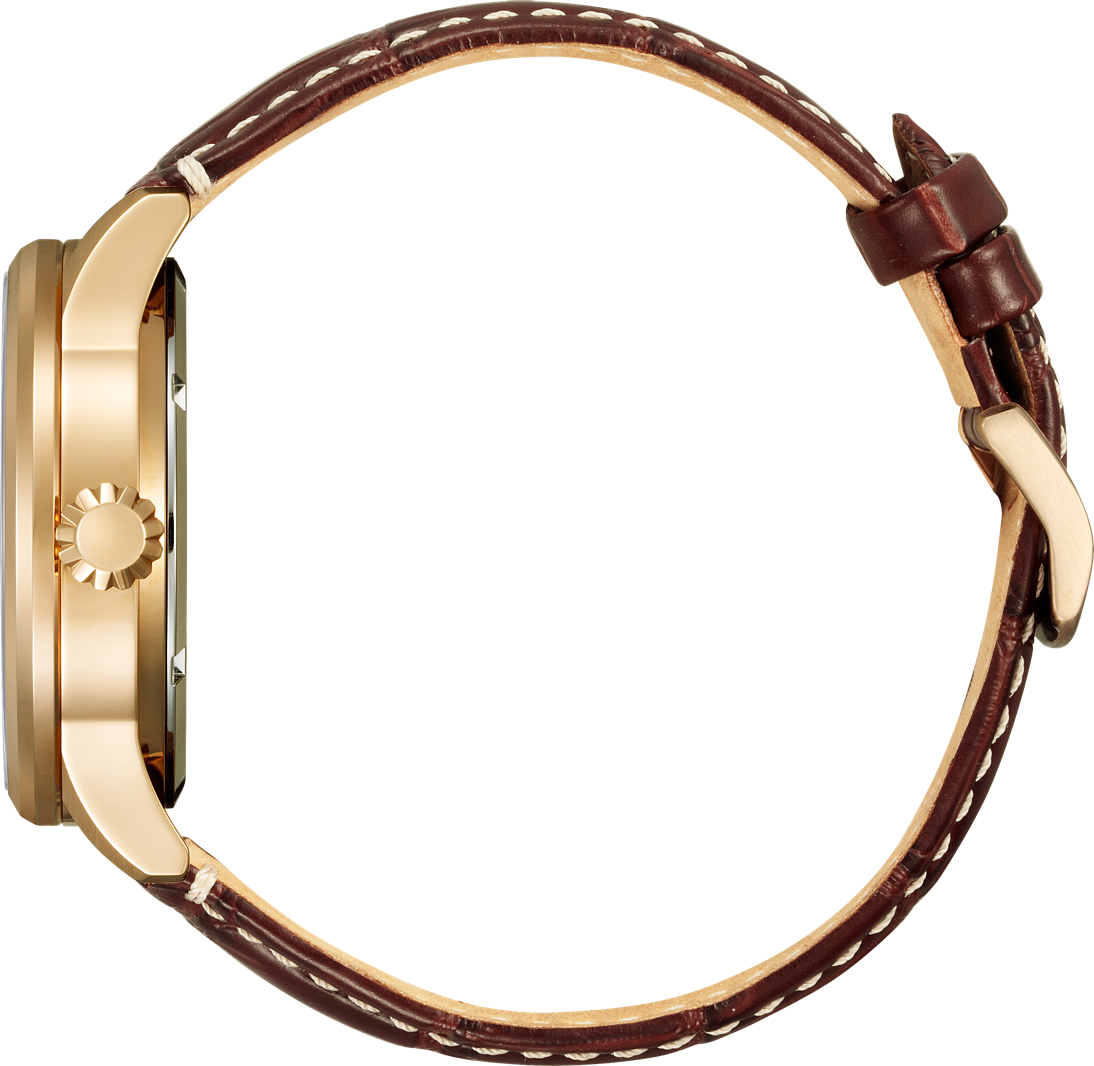 Фото часов Citizen						
												
						NJ0143-19E