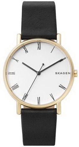 Фото часов Мужские часы Skagen Leather SKW6426