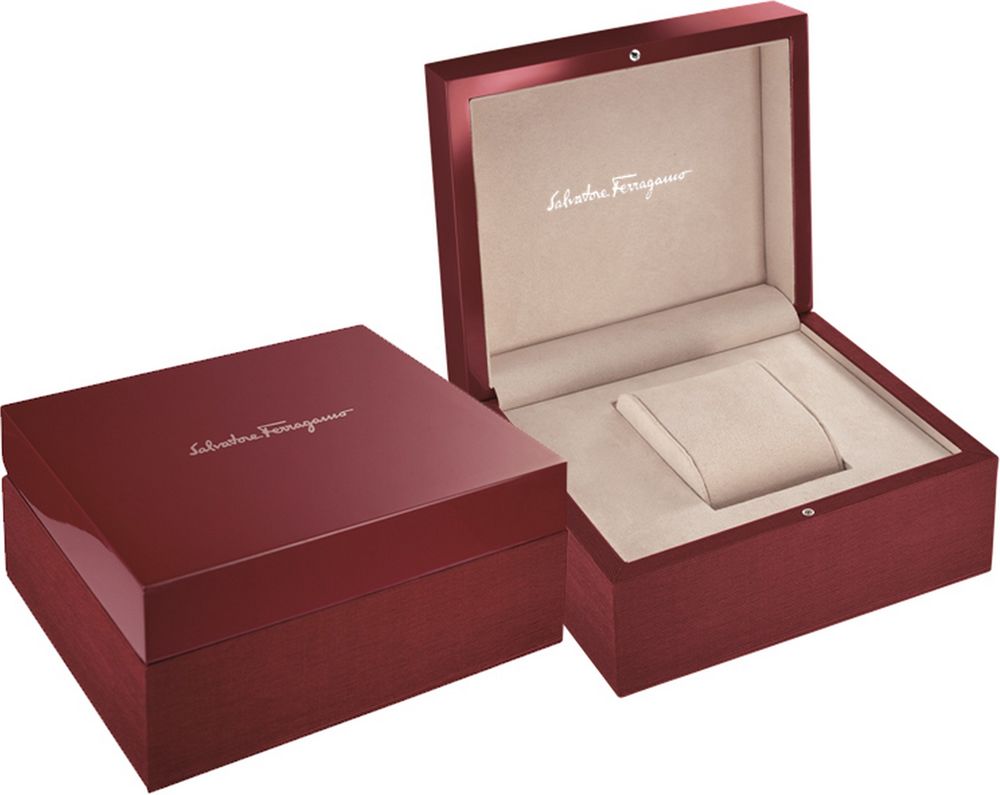 Фото часов Salvatore Ferragamo  SFMQ00122