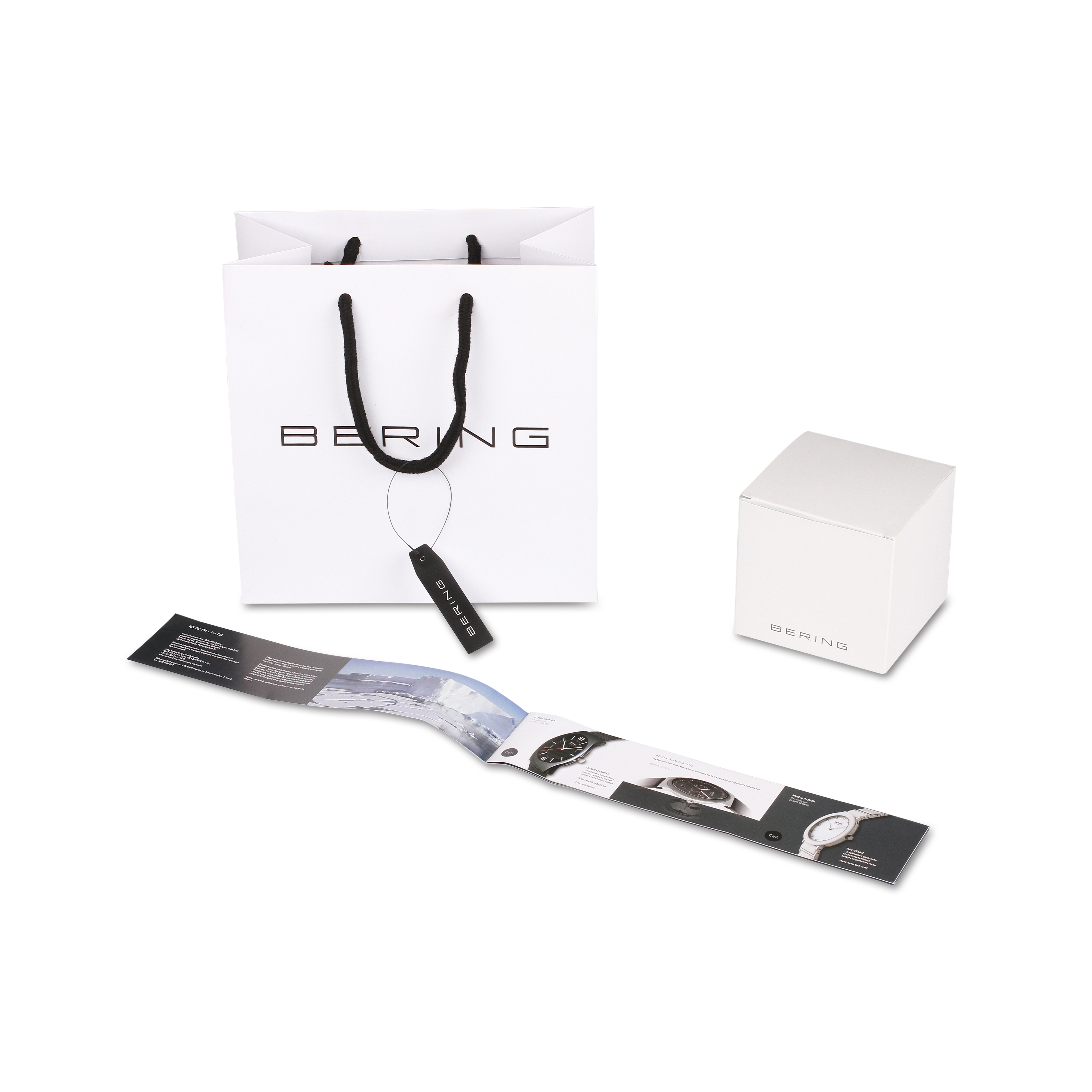 Фото часов Bering Classic 14240-668