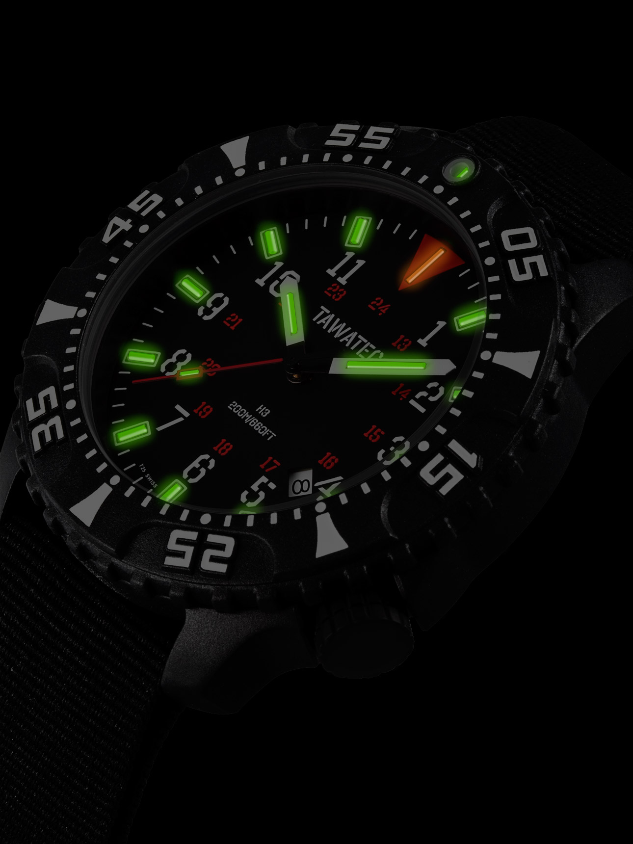 Фото часов Мужские часы TAWATEC E.O.Diver (кварц) (200м) TWT.43.B3.11G