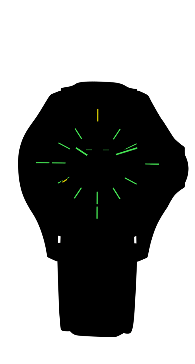 Фото часов Traser P67 Officer Pro Automatic Black 110957