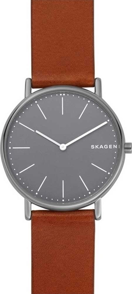 Фото часов Мужские часы Skagen Leather SKW6429