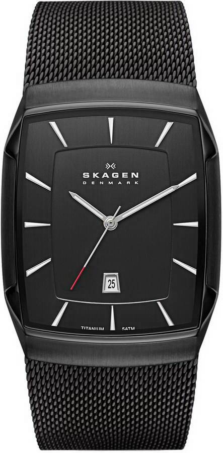 Фото часов Мужские часы Skagen Titanium SKW6011