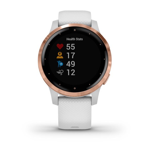 Фото часов Garmin Vivoactive 4S 010-02172-23