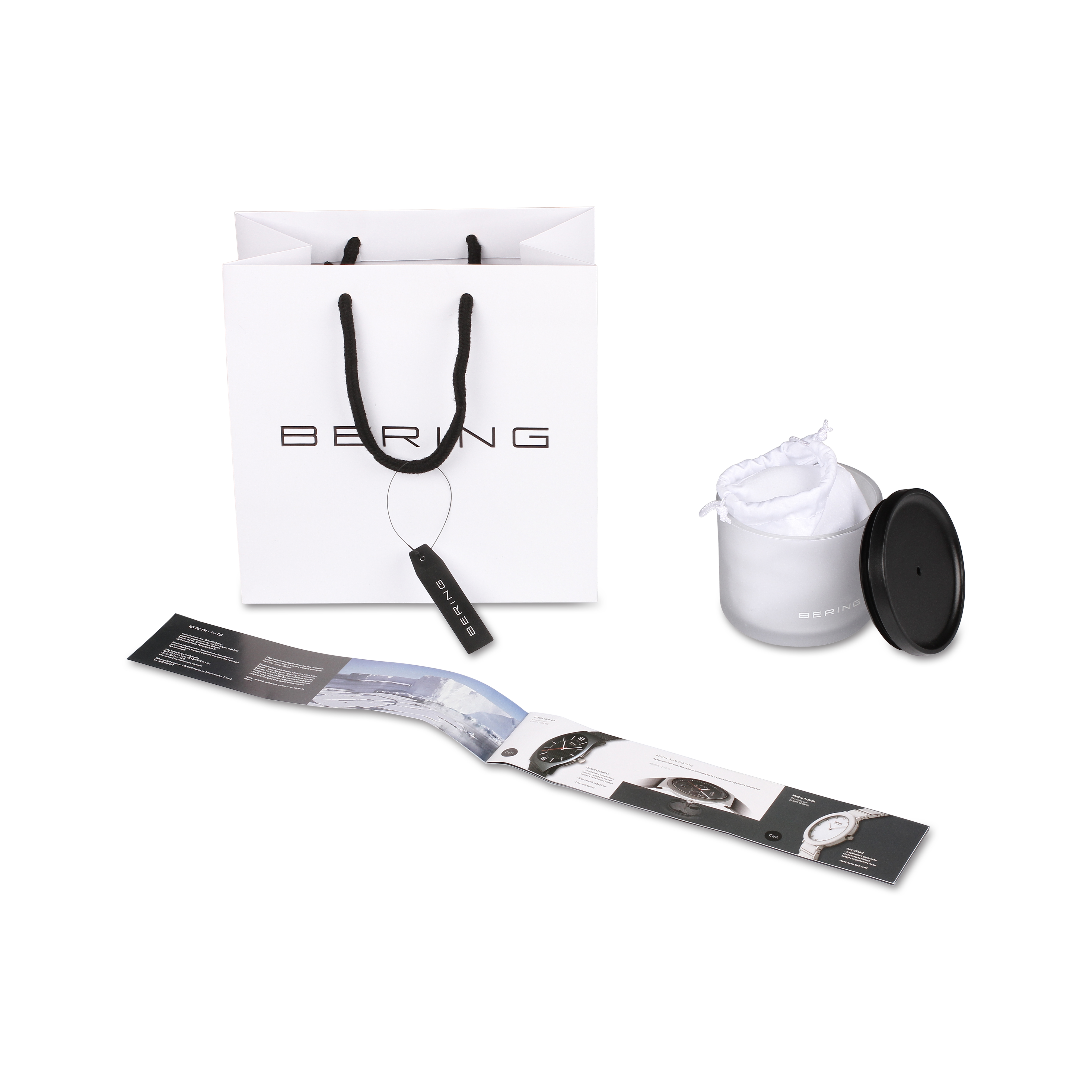 Фото часов Bering Classic 14240-668