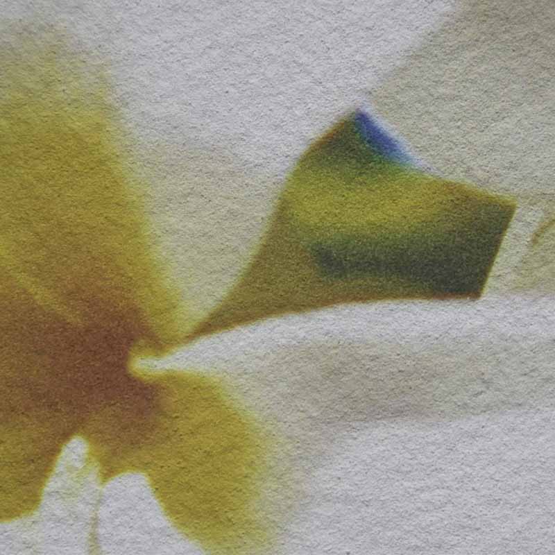 Фото часов Модульная картина Династия 06-015-01 Солнечные цветы
            (Код: 06-015-01)