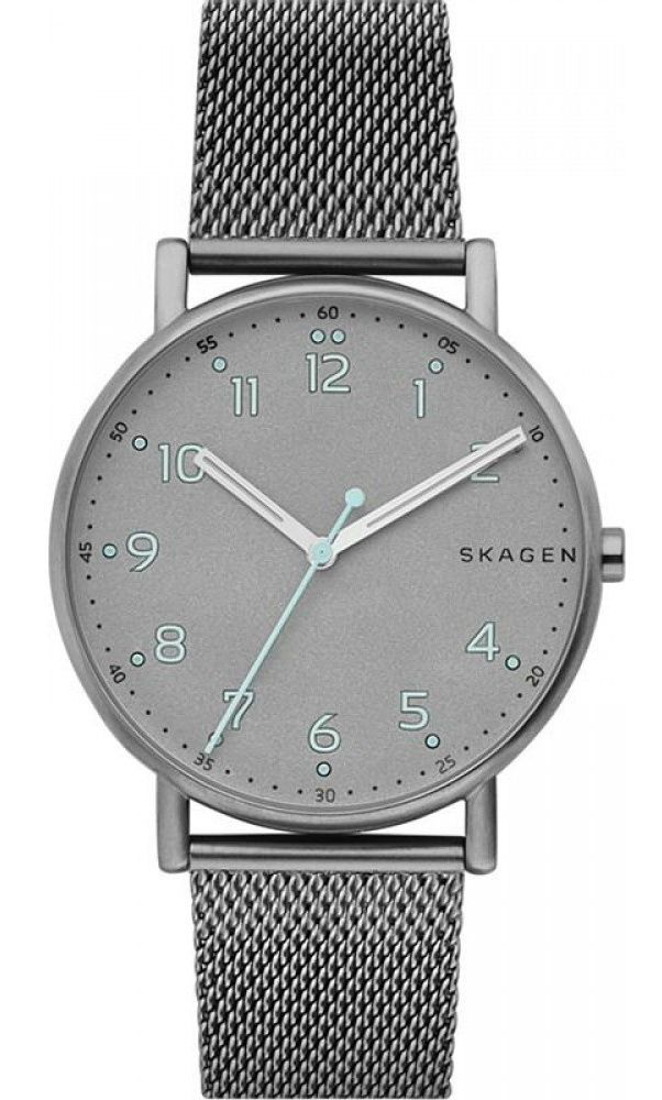 Фото часов Мужские часы Skagen Mesh SKW6354