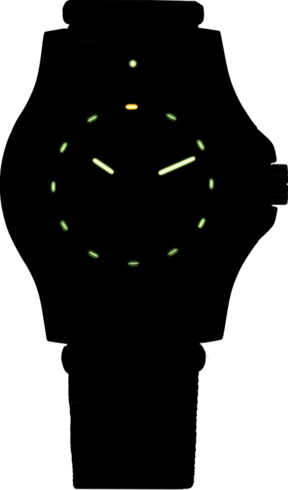 Фото часов Мужские часы Traser P66 Automatic Pro (нато) 100267