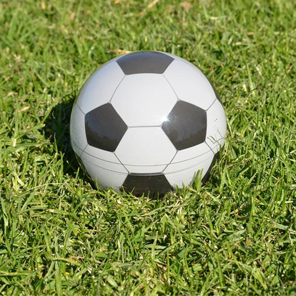 Фото часов Mova Globe MG-45-SCR