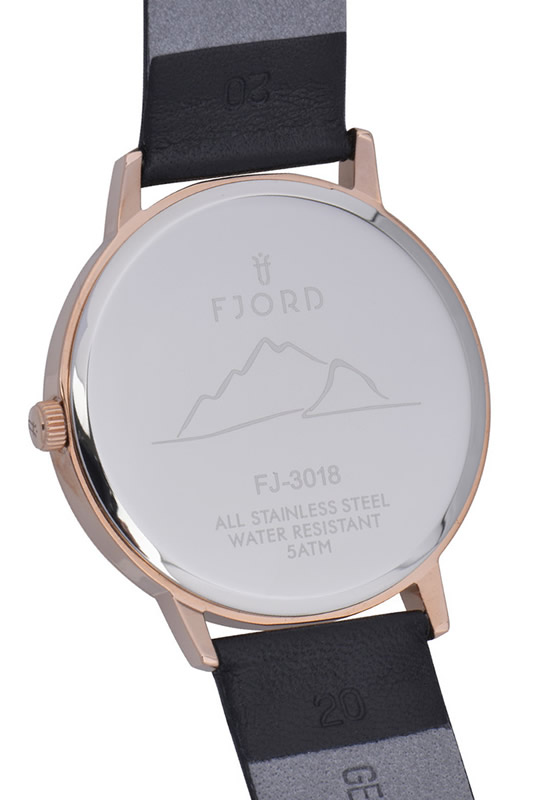 Фото часов Мужские часы Fjord Anton FJ-3018-03