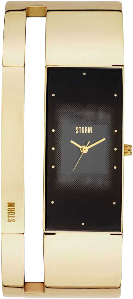 Фото часов Женские часы Storm Alvara Gold 47343/GD