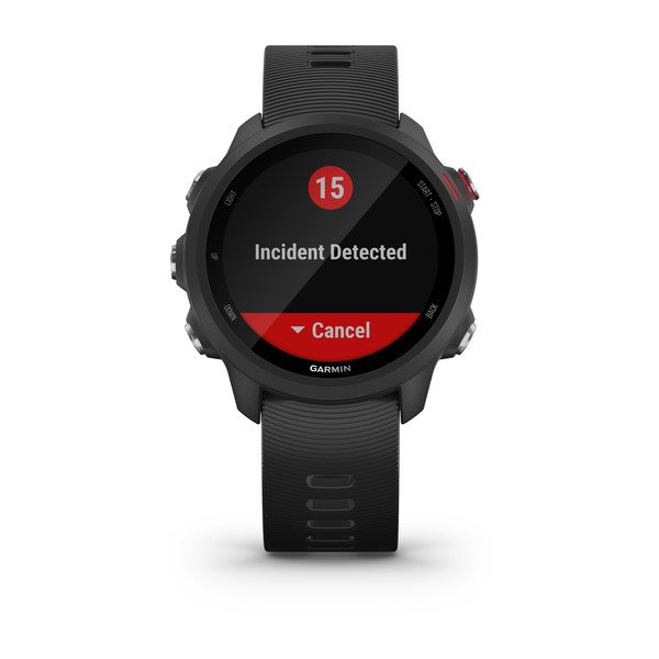 Фото часов Garmin Forerunner 245 Music 010-02120-30