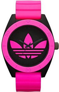 Унисекс часы Adidas Cambridge ADH2846 Наручные часы