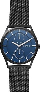 Мужские часы Skagen Mesh SKW6450 Наручные часы